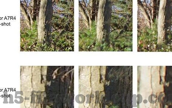 足球比分动画直播网站-足球比分动画直播网站,球迷的实时观赛新体验